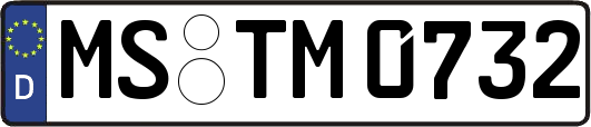 MS-TM0732