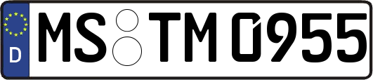 MS-TM0955