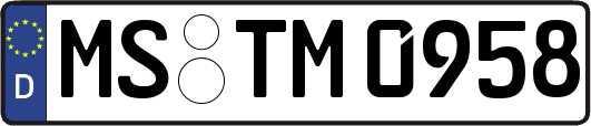 MS-TM0958