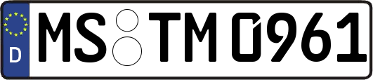 MS-TM0961