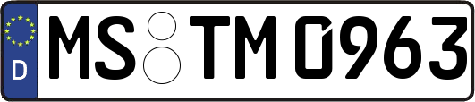 MS-TM0963