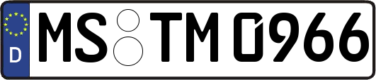 MS-TM0966