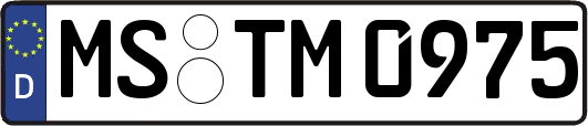MS-TM0975