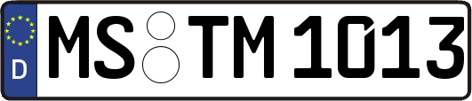 MS-TM1013