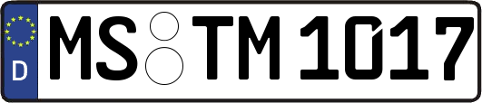 MS-TM1017
