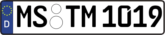 MS-TM1019