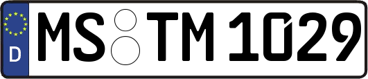 MS-TM1029