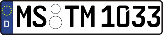 MS-TM1033