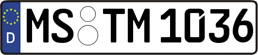 MS-TM1036