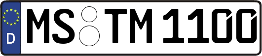 MS-TM1100