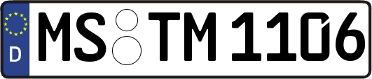 MS-TM1106