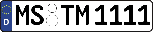 MS-TM1111