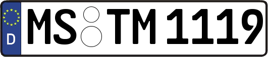 MS-TM1119