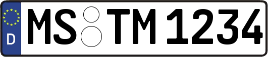MS-TM1234