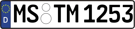 MS-TM1253