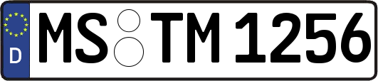 MS-TM1256
