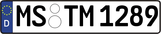 MS-TM1289
