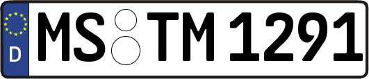 MS-TM1291