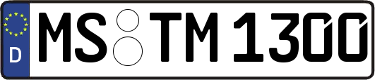 MS-TM1300