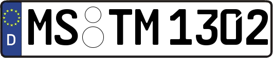 MS-TM1302