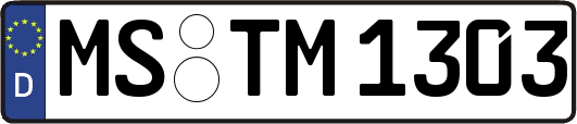 MS-TM1303