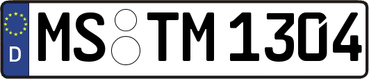 MS-TM1304