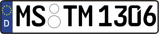 MS-TM1306