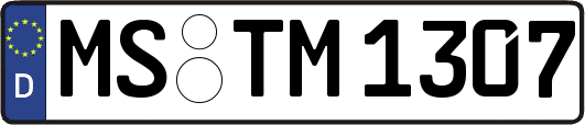 MS-TM1307