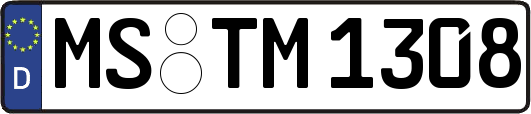 MS-TM1308