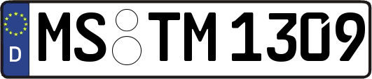 MS-TM1309
