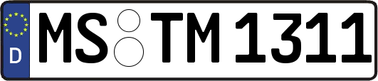 MS-TM1311