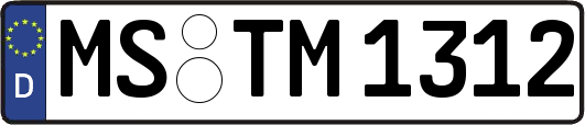 MS-TM1312