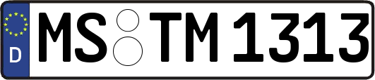 MS-TM1313