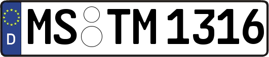 MS-TM1316