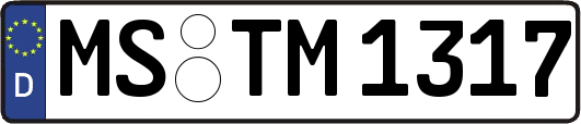 MS-TM1317