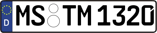 MS-TM1320
