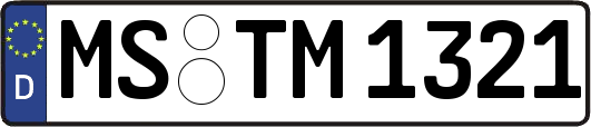 MS-TM1321