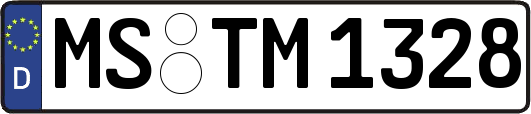 MS-TM1328