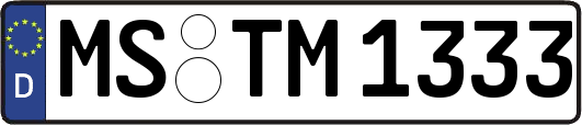 MS-TM1333