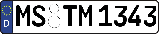 MS-TM1343