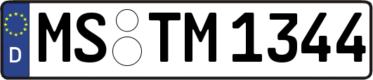 MS-TM1344