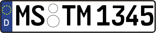 MS-TM1345
