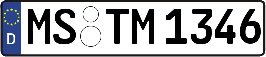 MS-TM1346