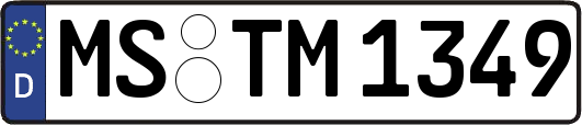 MS-TM1349