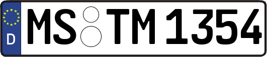 MS-TM1354
