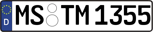 MS-TM1355