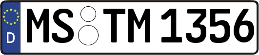 MS-TM1356