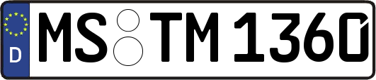 MS-TM1360
