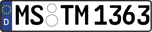 MS-TM1363