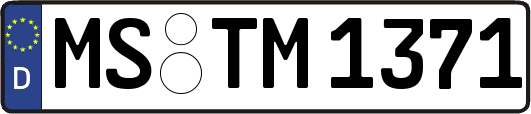 MS-TM1371
